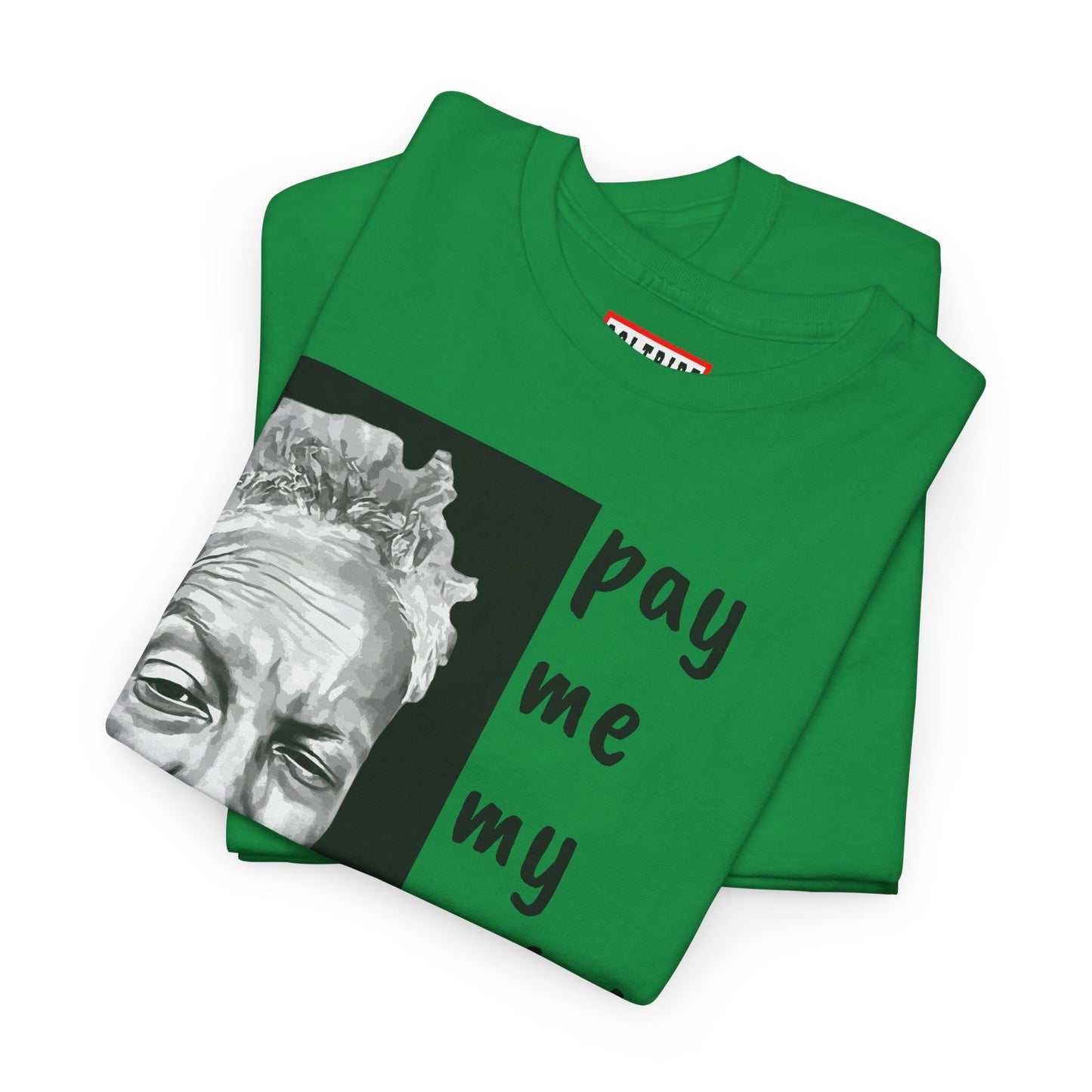 PAY ME IN GOLD t-shirt