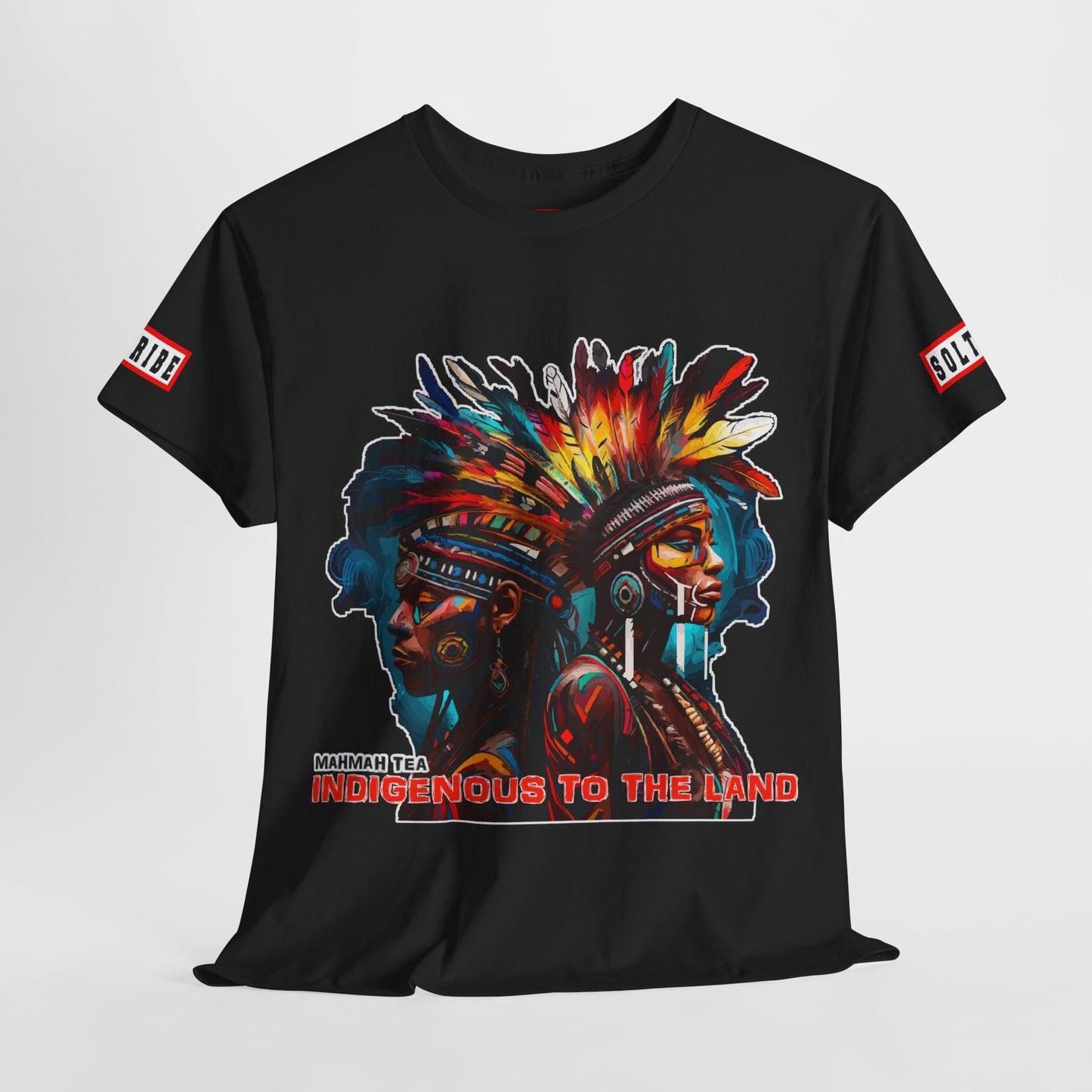 Indigenous to the Land T-Shirt (unisex)