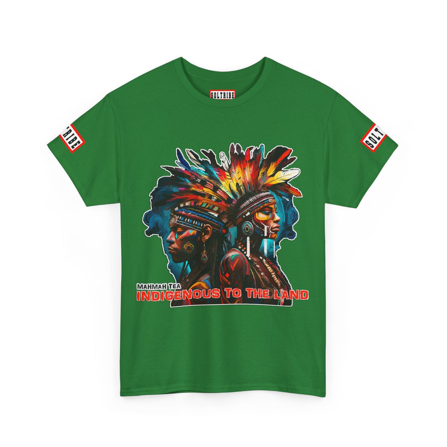 Indigenous to the Land T-Shirt (unisex)