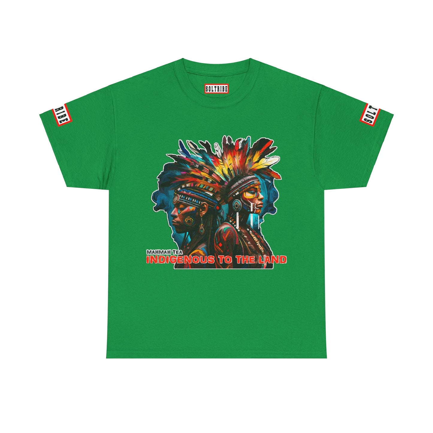 Indigenous to the Land T-Shirt (unisex)