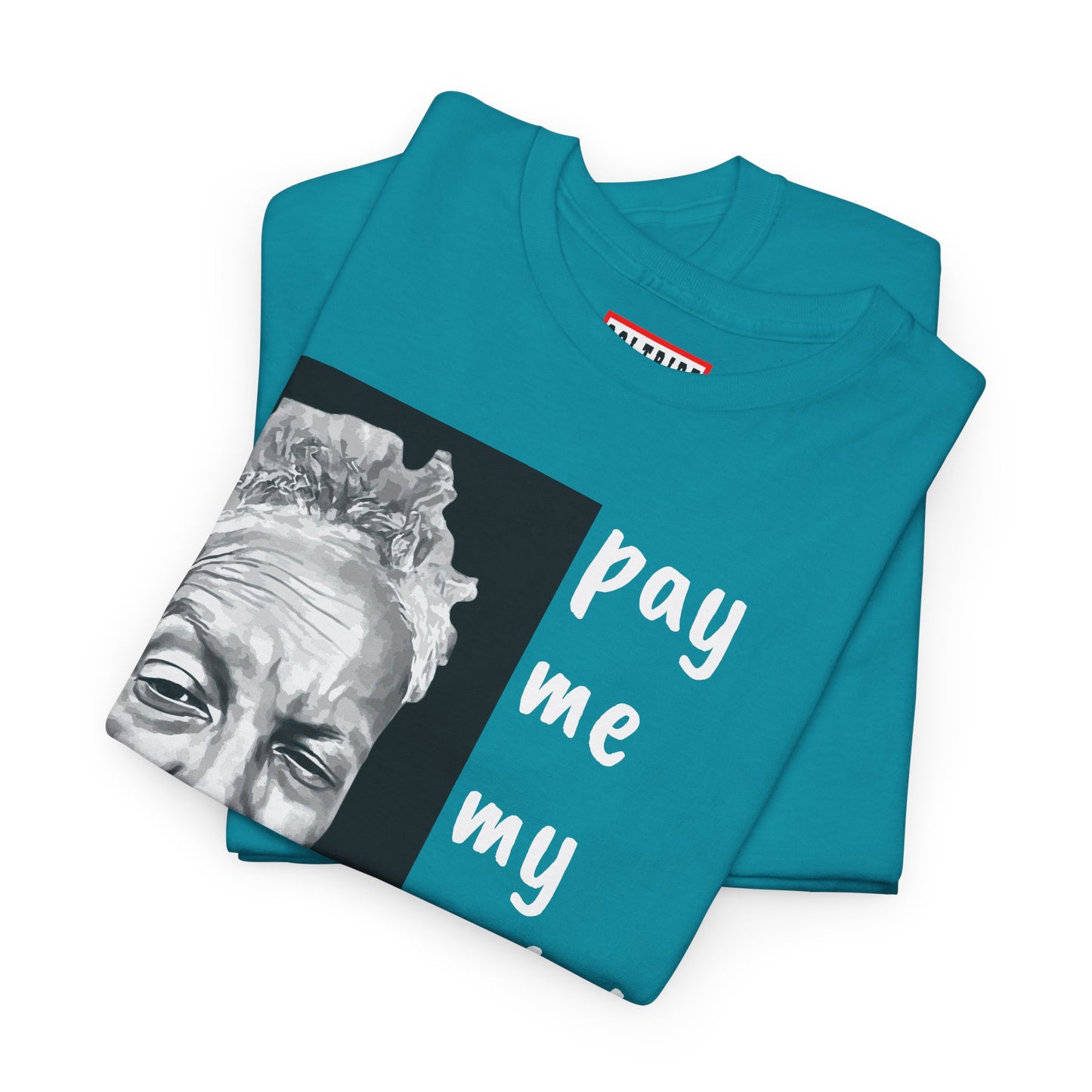 PAY ME IN GOLD t-shirt