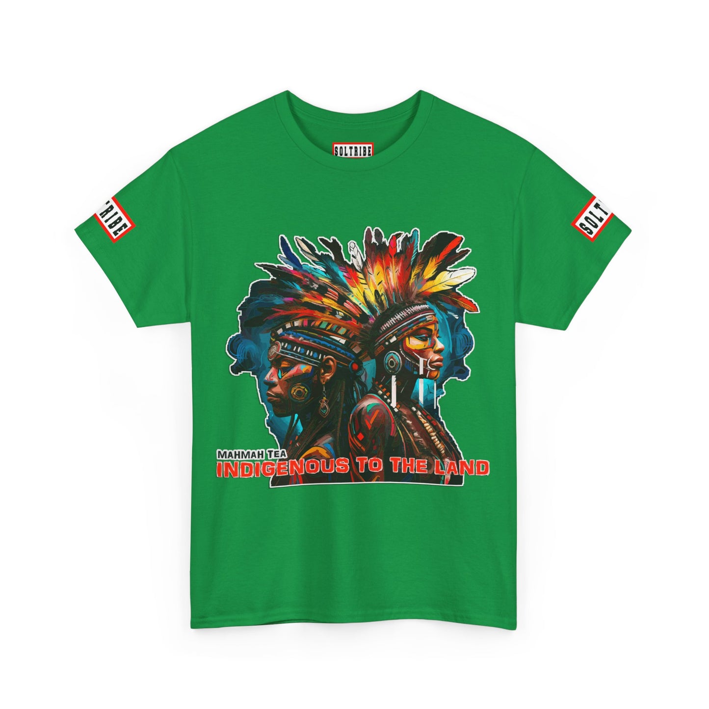 Indigenous to the Land T-Shirt (unisex)