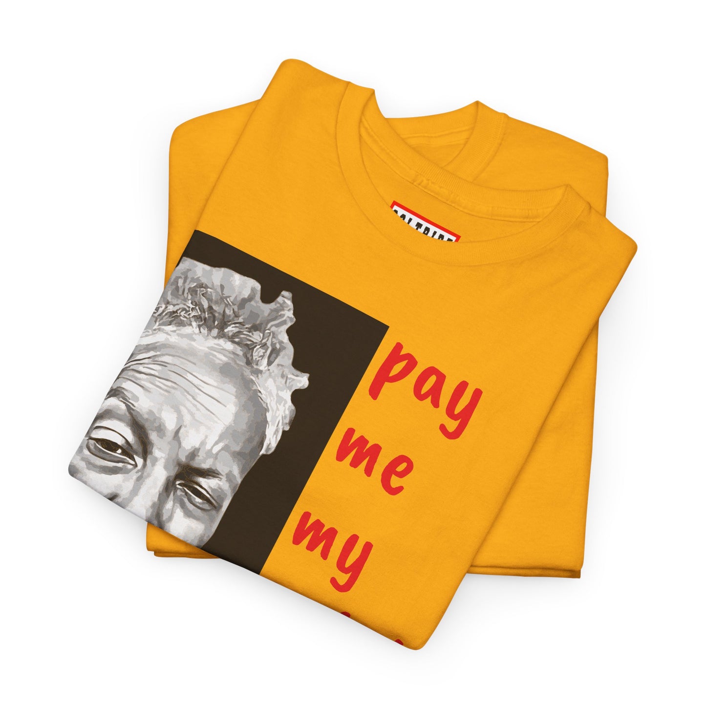 PAY ME IN GOLD t-shirt