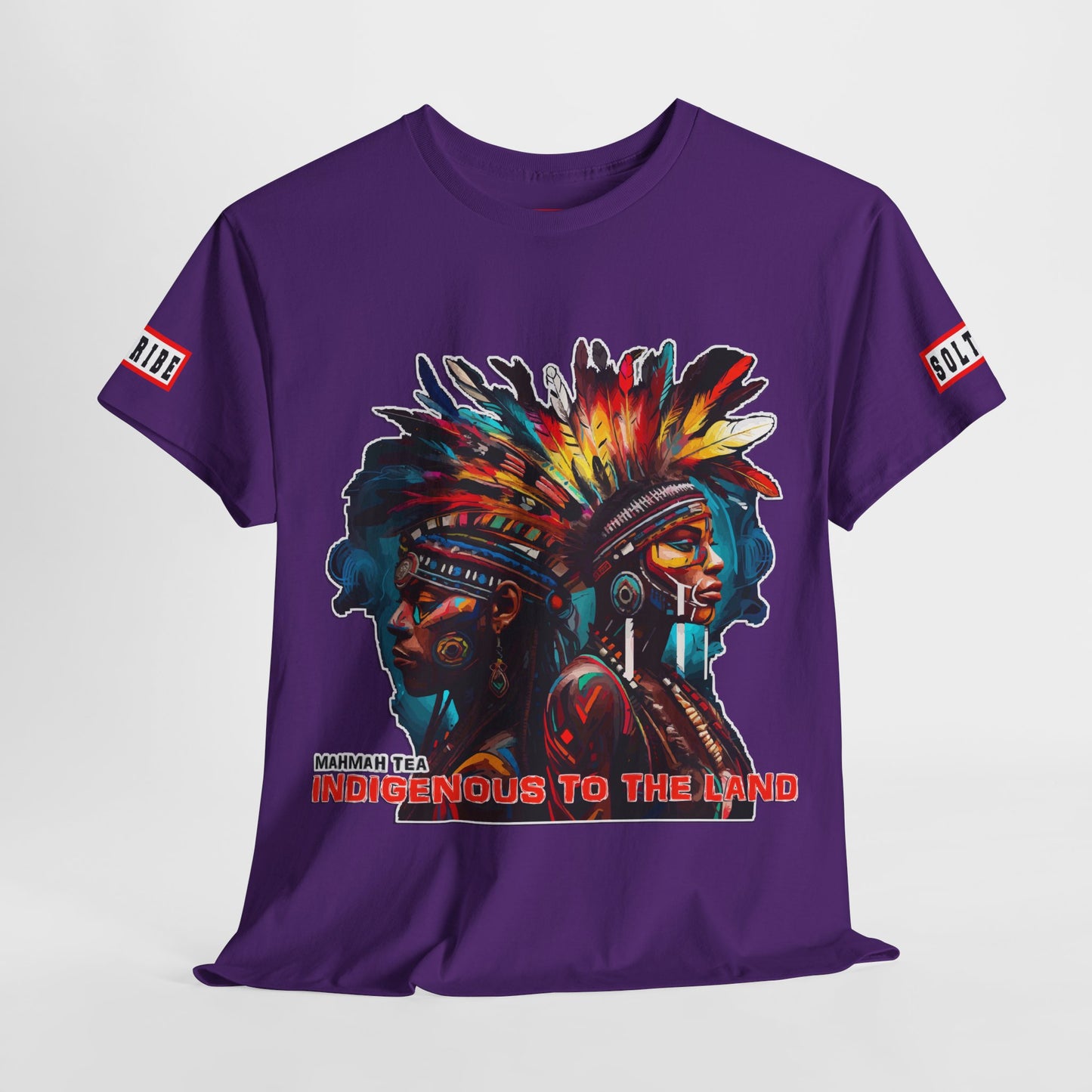 Indigenous to the Land T-Shirt (unisex)