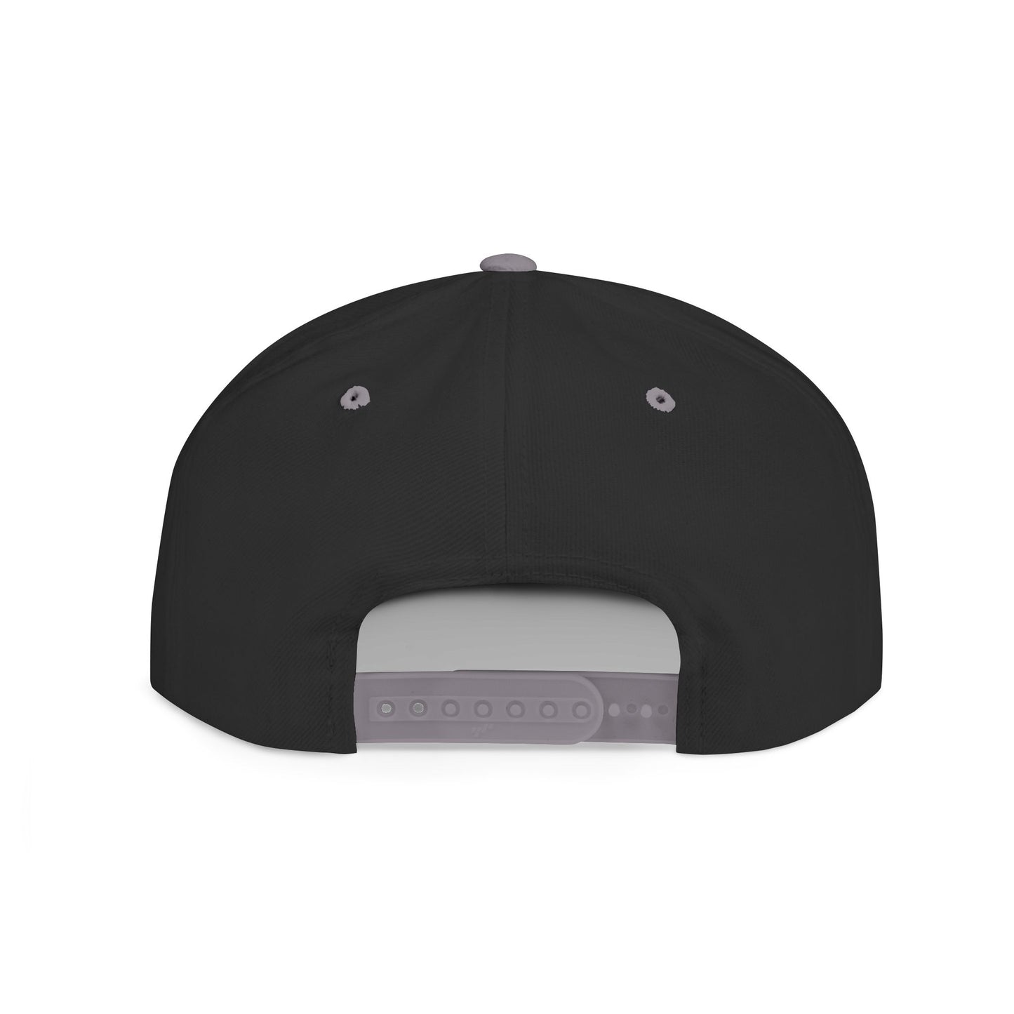 Gods Money Snapback Hat — Bold Two-Tone Embroidered Flat Bill Cap