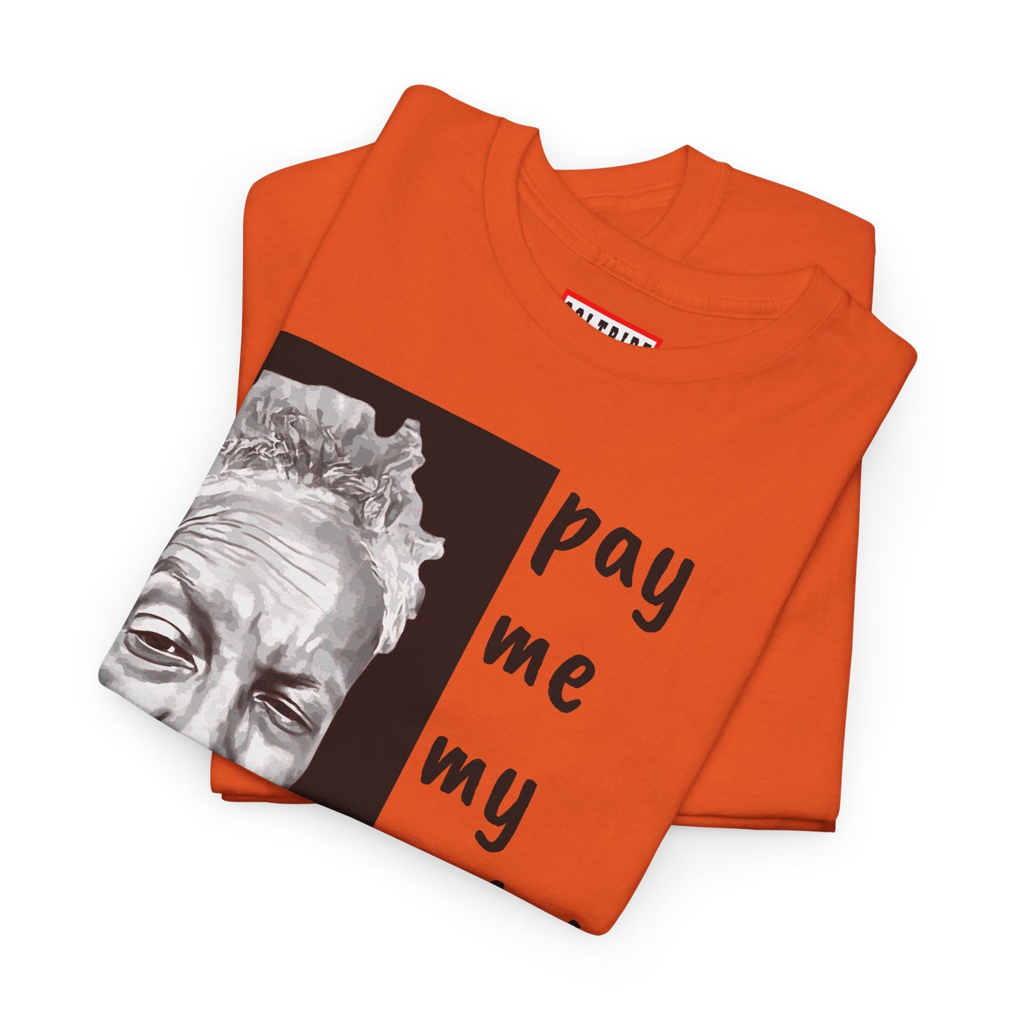 PAY ME IN GOLD t-shirt