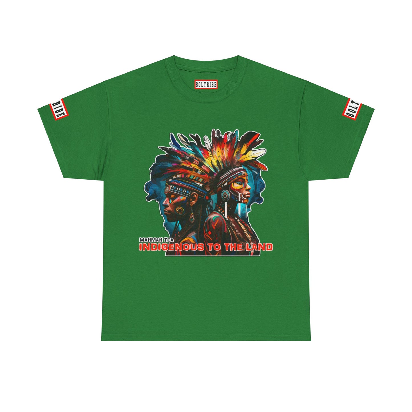 Indigenous to the Land T-Shirt (unisex)