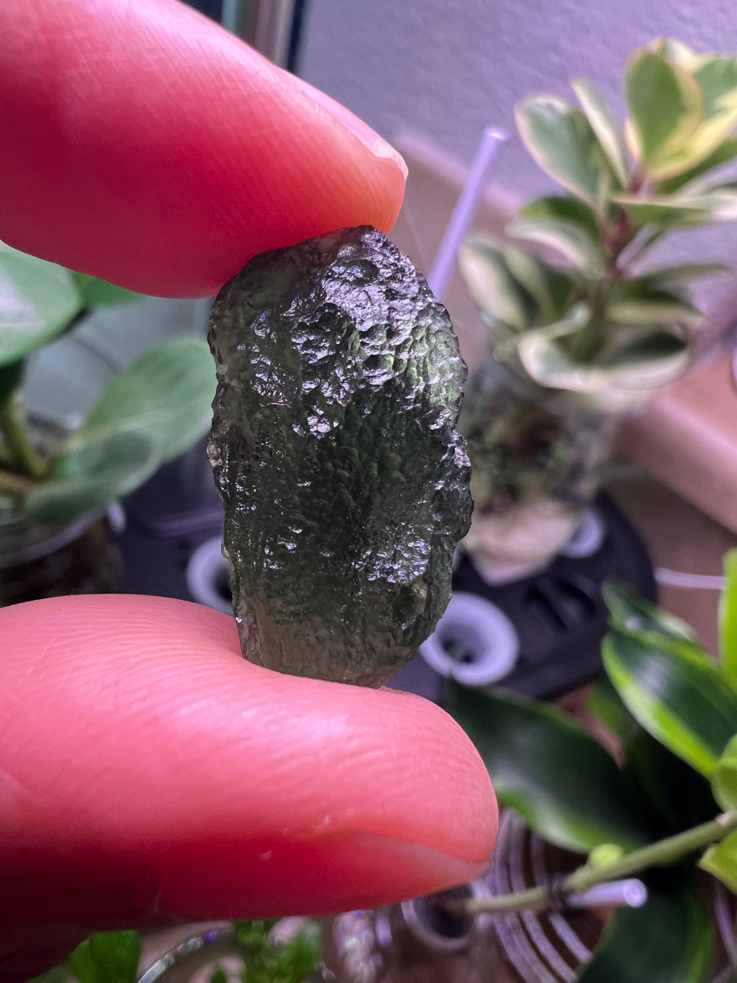 MOLDAVITE - RARE EARTH STONE (Museum Quality)