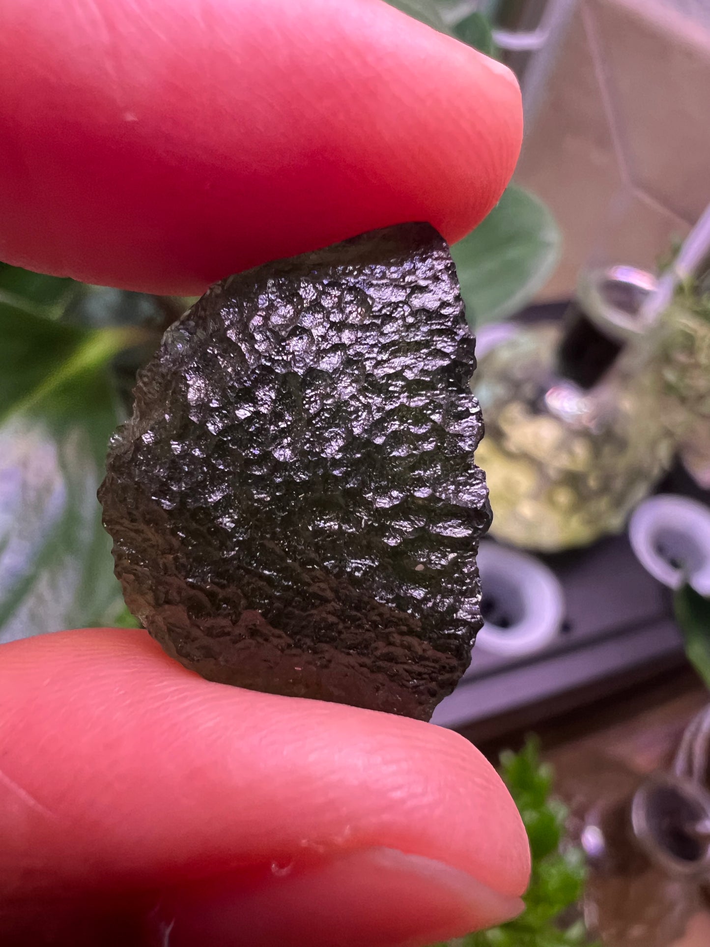 MOLDAVITE - RARE EARTH STONE (Museum Quality)