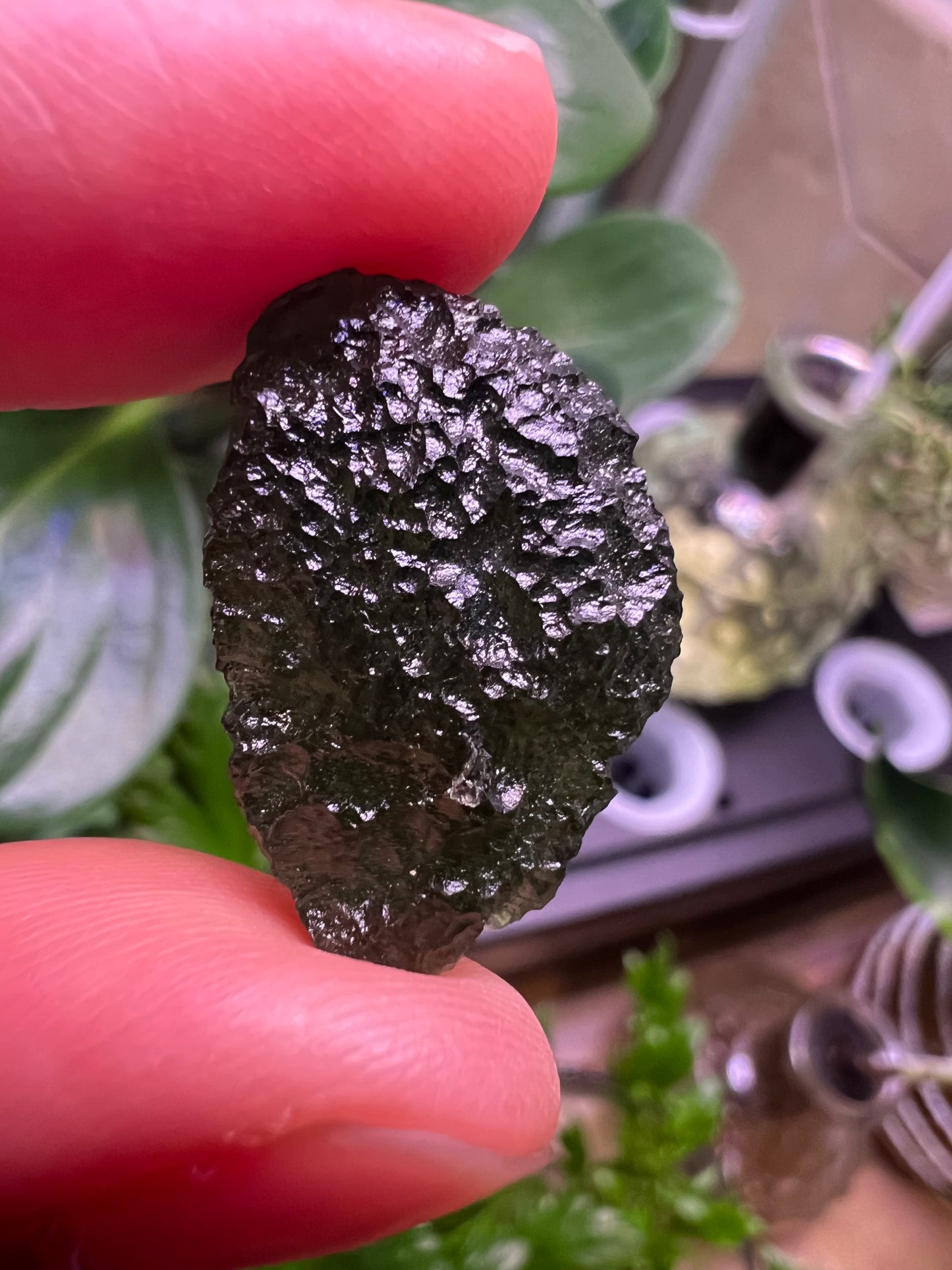 MOLDAVITE - RARE EARTH STONE (Museum Quality)