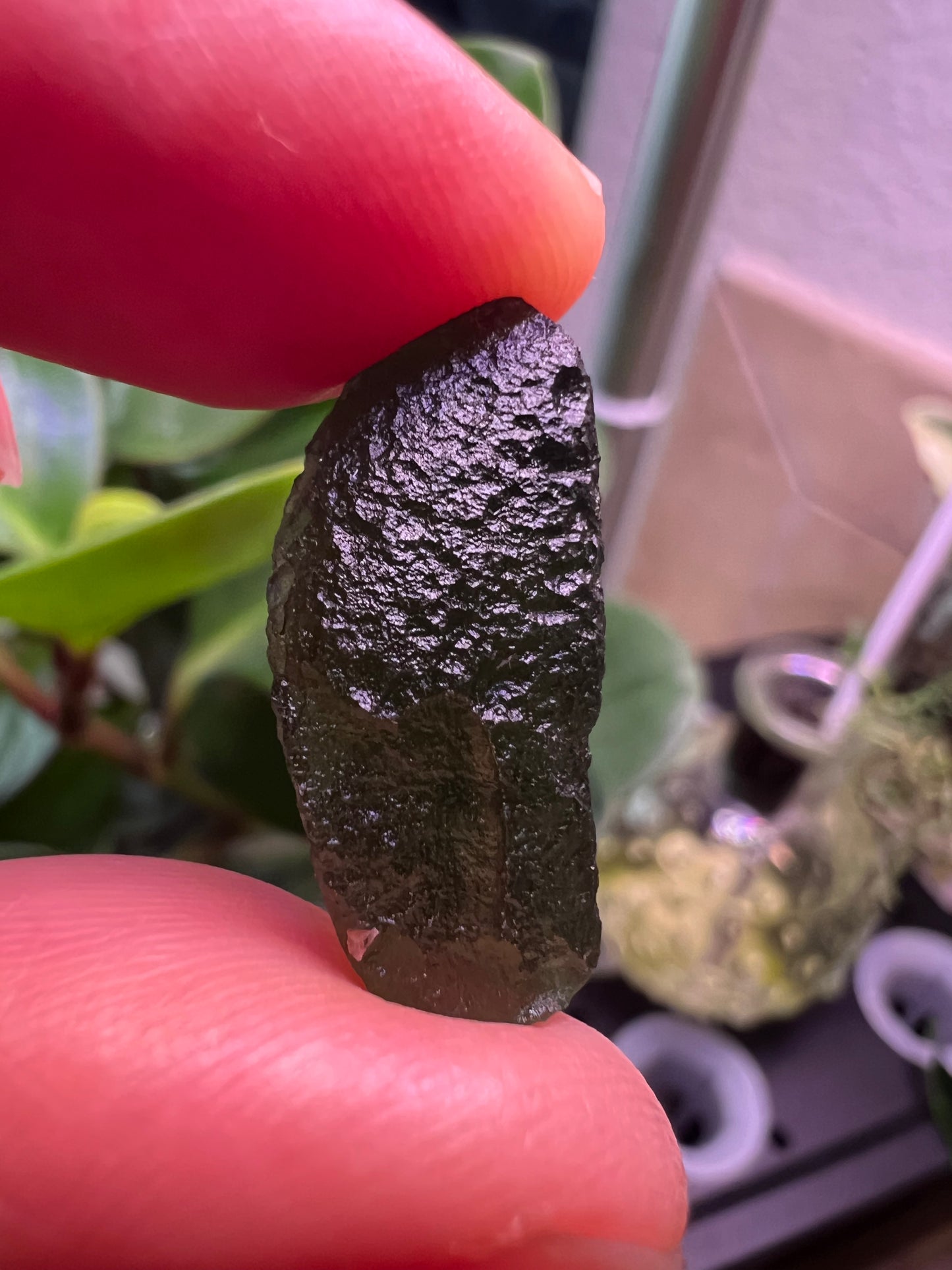 MOLDAVITE - RARE EARTH STONE (Museum Quality)