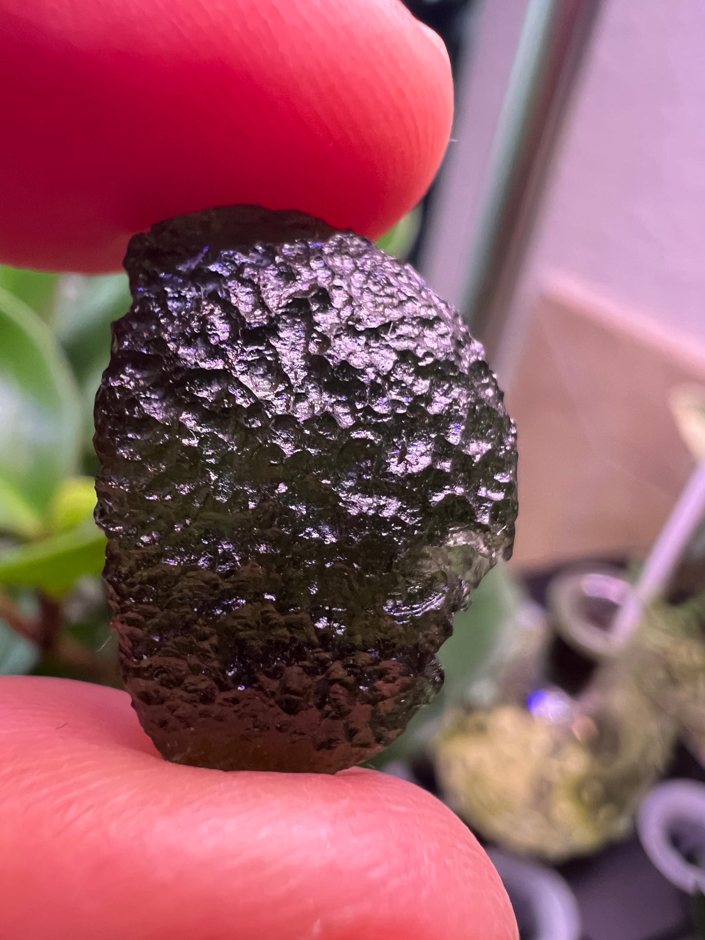 MOLDAVITE - RARE EARTH STONE (Museum Quality)
