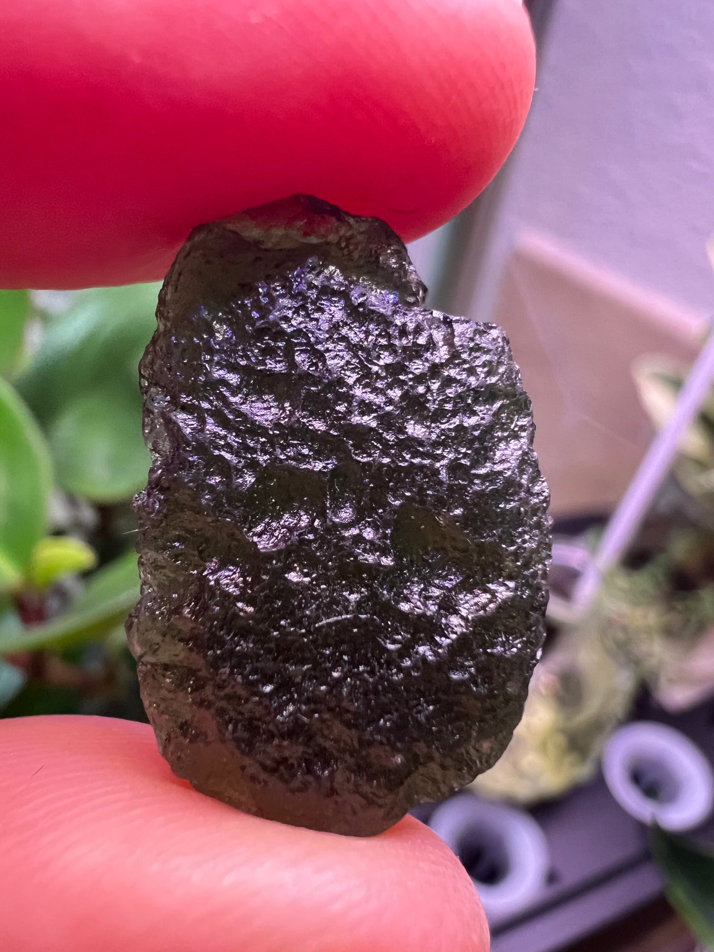 MOLDAVITE - RARE EARTH STONE (Museum Quality)