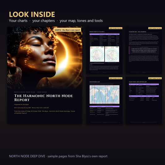 Look inside the Deep Dive Book: cover, chart wheels, Chapter One, world map and tones