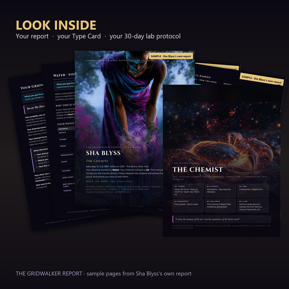 Look inside The Gridwalker Report: report pages and the Gridwalker Type Card
