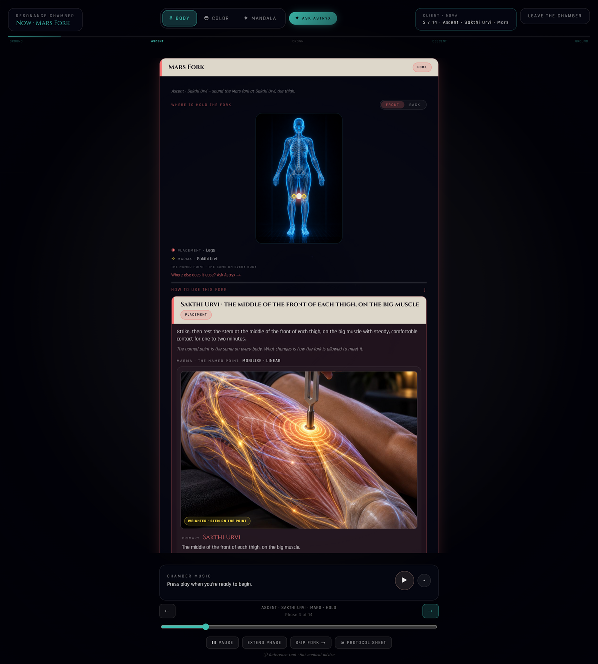 ASTRYX Pro — a client session at the named point: the fork placement on the body map with the photographed body site, contact discipline and hold