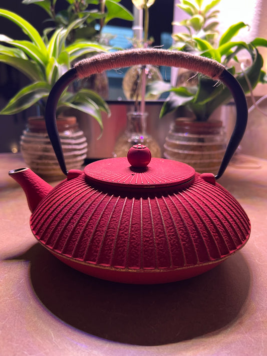 Red Cast Iron tea kettle- Free Shipping