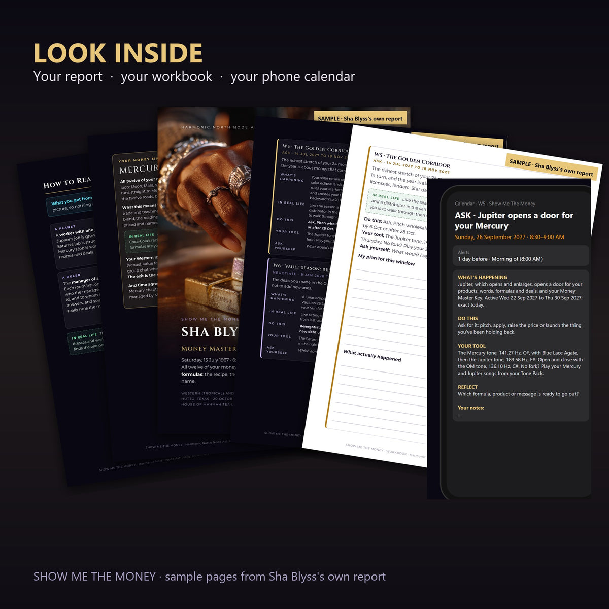 Look inside Show Me The Money: report pages, workbook and phone calendar