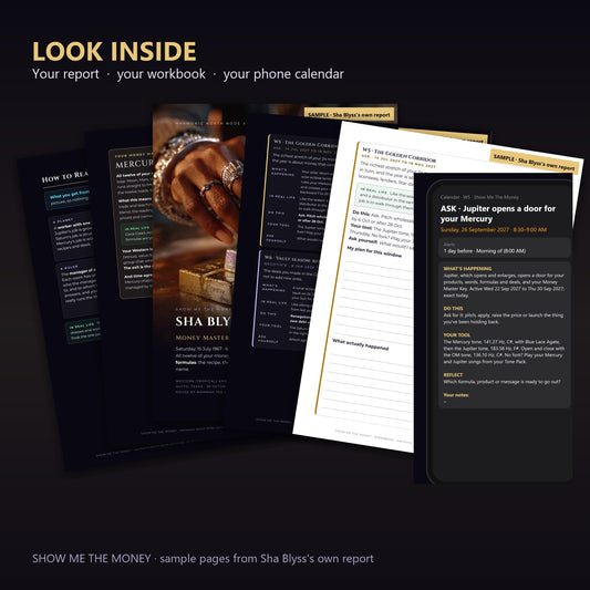 Look inside Show Me The Money: report pages, workbook and phone calendar